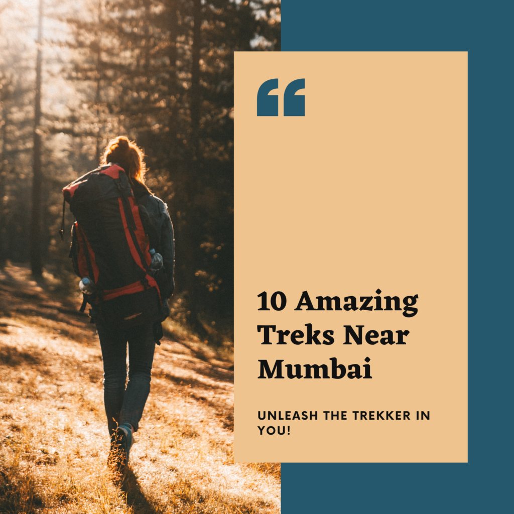 treks near mumbai for beginners
